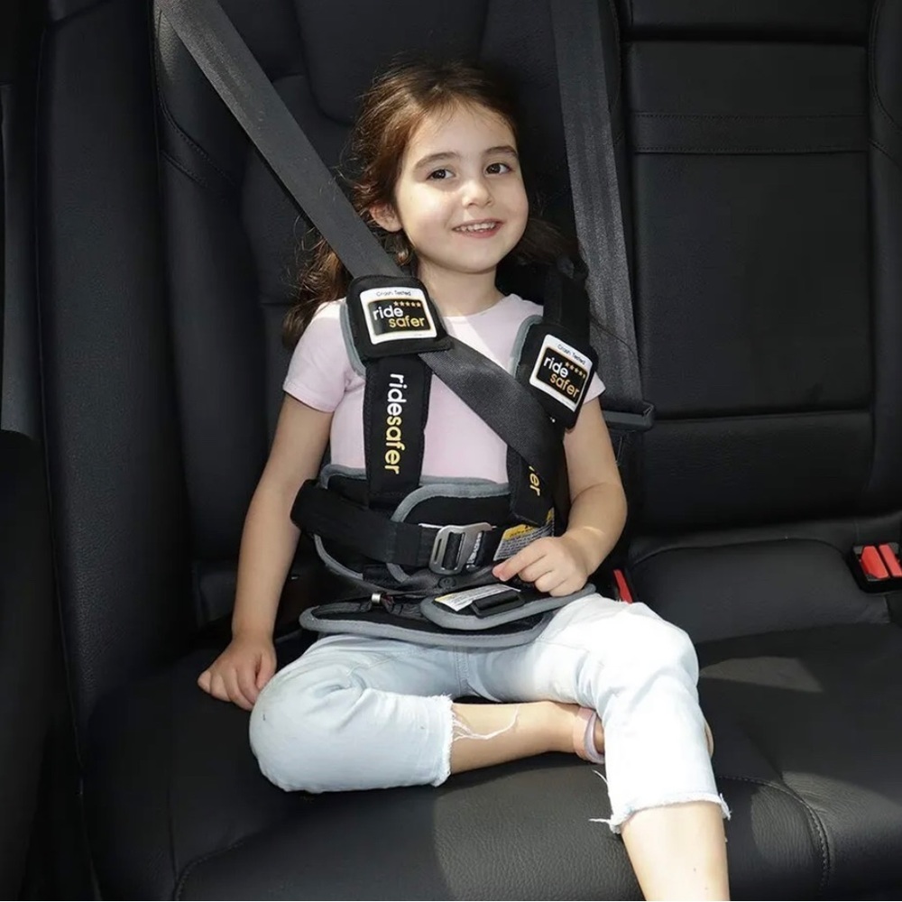 Child Car Safety Harness - Black and Gray
